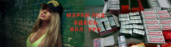 СК Касимов