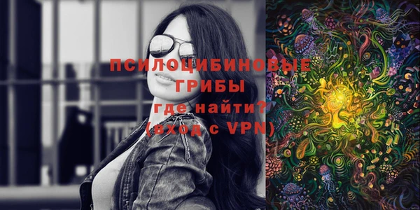 альфа пвп Каменногорск
