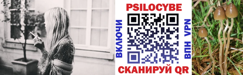 Купить закладки  Звенигород  Псилоцибиновые грибы Magic Shrooms 